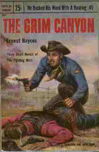 Image for The Grim Canyon - Three Short Novels of the Fighting West