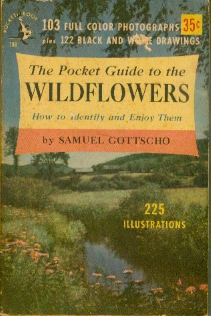 Image for The Pocket Guide to the Wildflowers  - How to Identify and Enjoy Them