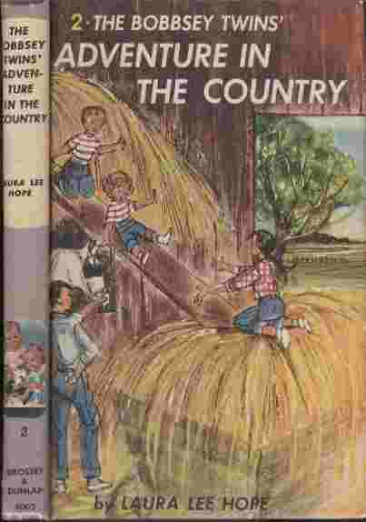 Image for The Bobbsey Twins' Adventure in the Country