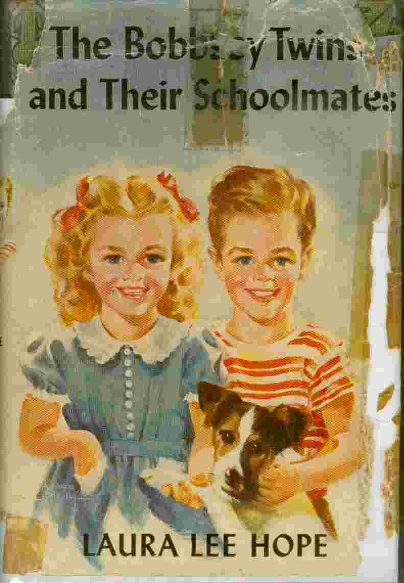 Image for The Bobbsey Twins and Their Schoolmates