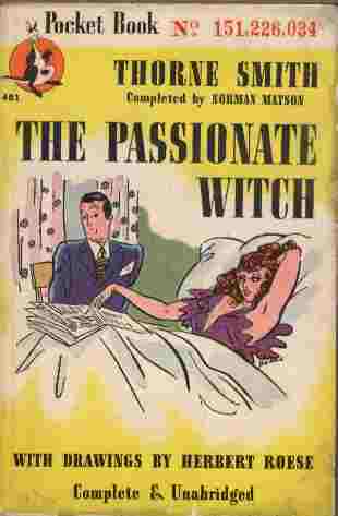 Image for The Passionate Witch