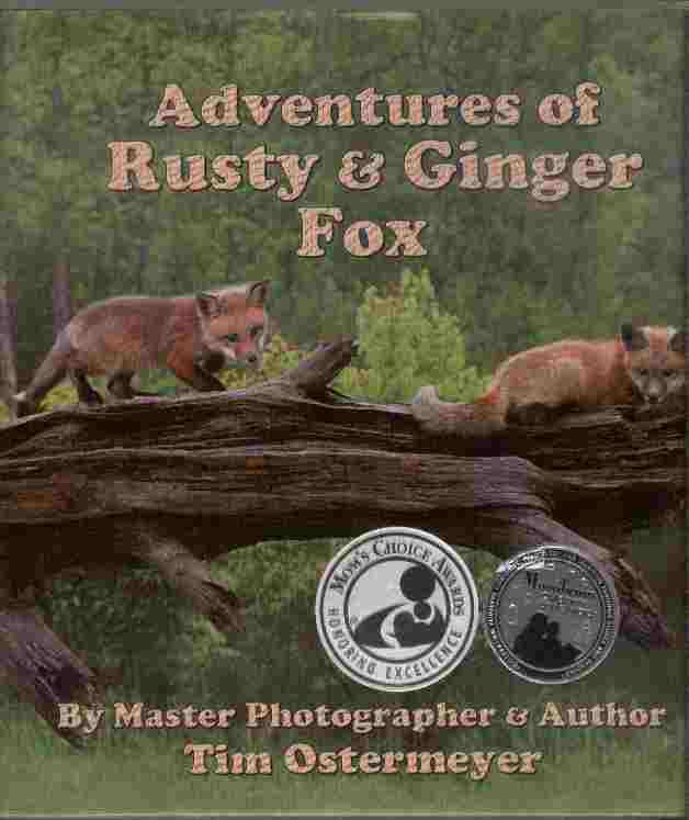 Adventures of Rusty and Ginger Fox Image for Adventures of Rusty and Ginger Fox