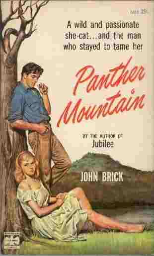 Image for Panther Mountain - A wild and passionate she-cat... and the man who stayed to tame her