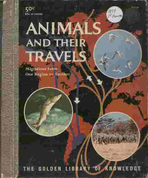 Image for Animals and Their Travels  - Migrations from one region to another