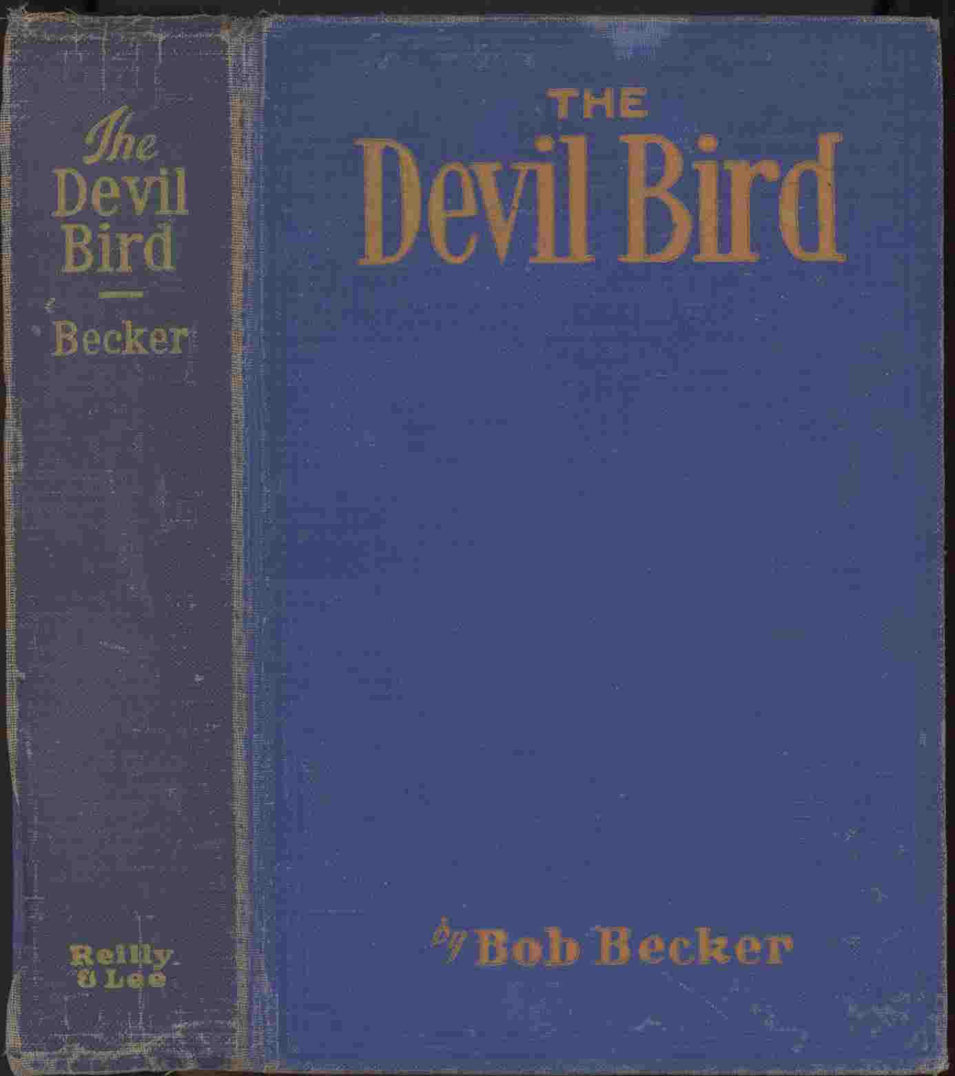 Image for The Devil Bird