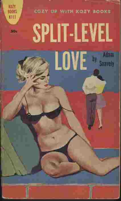 Image for Split-Level Love room and experiencing nearly all the intimacies of married life except the important ones.